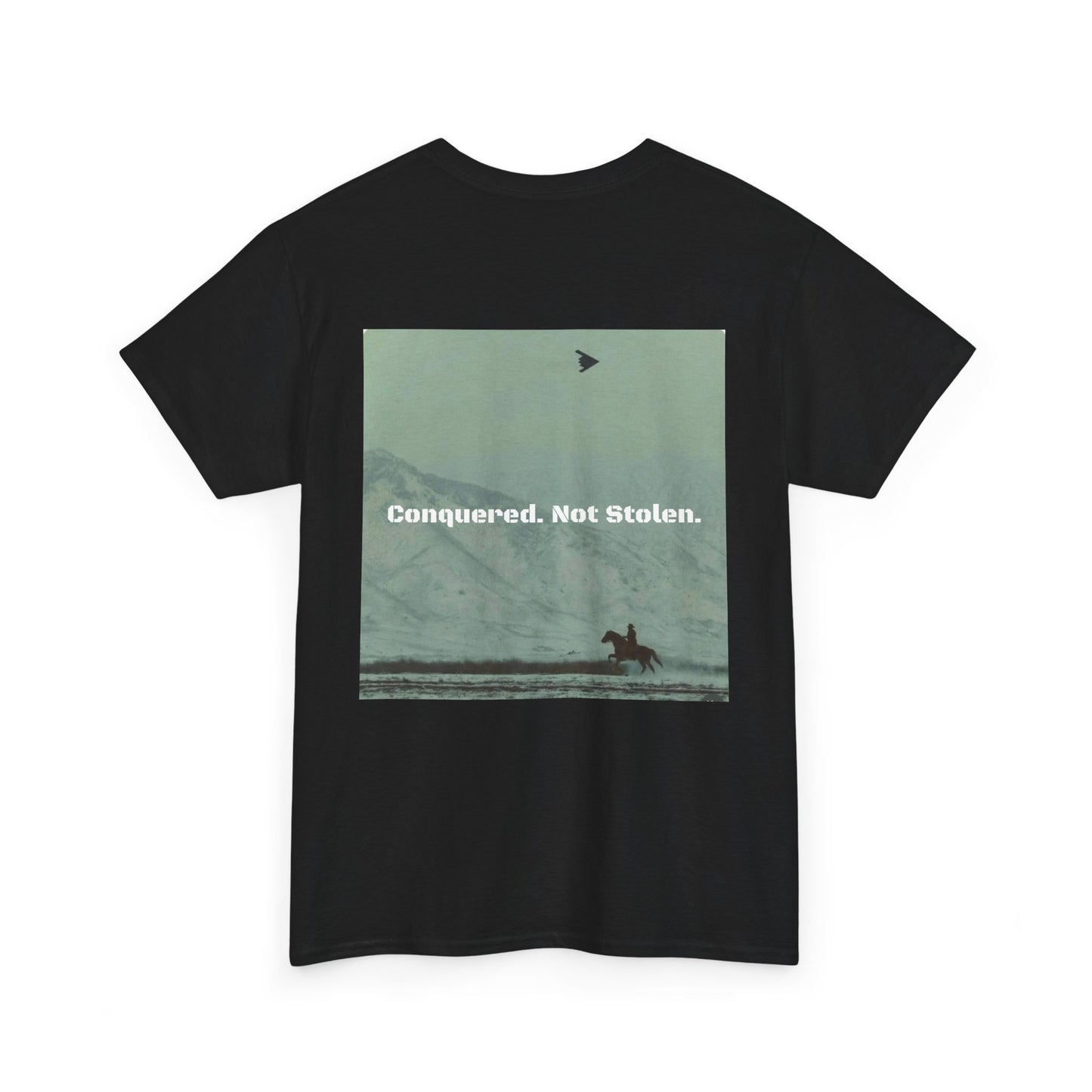 Conquered Cotton T-Shirt (Black)