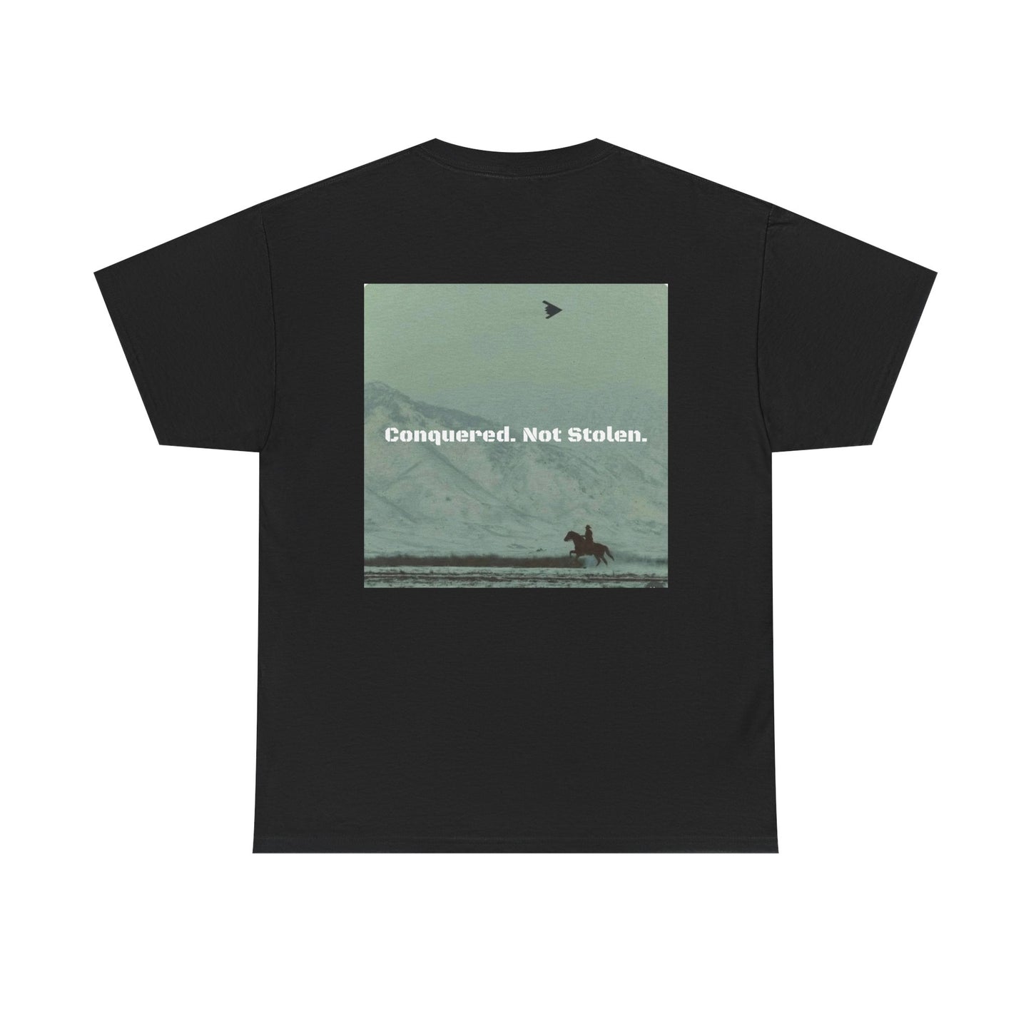 Conquered Cotton T-Shirt (Black)